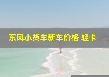 东风小货车新车价格 轻卡